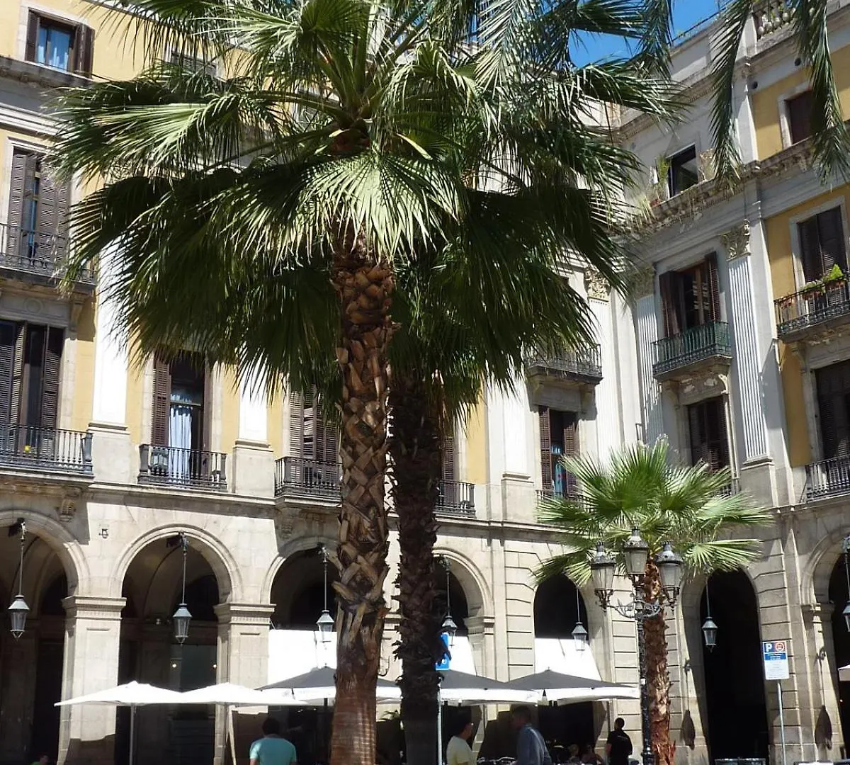 Отель Roma Reial Барселона